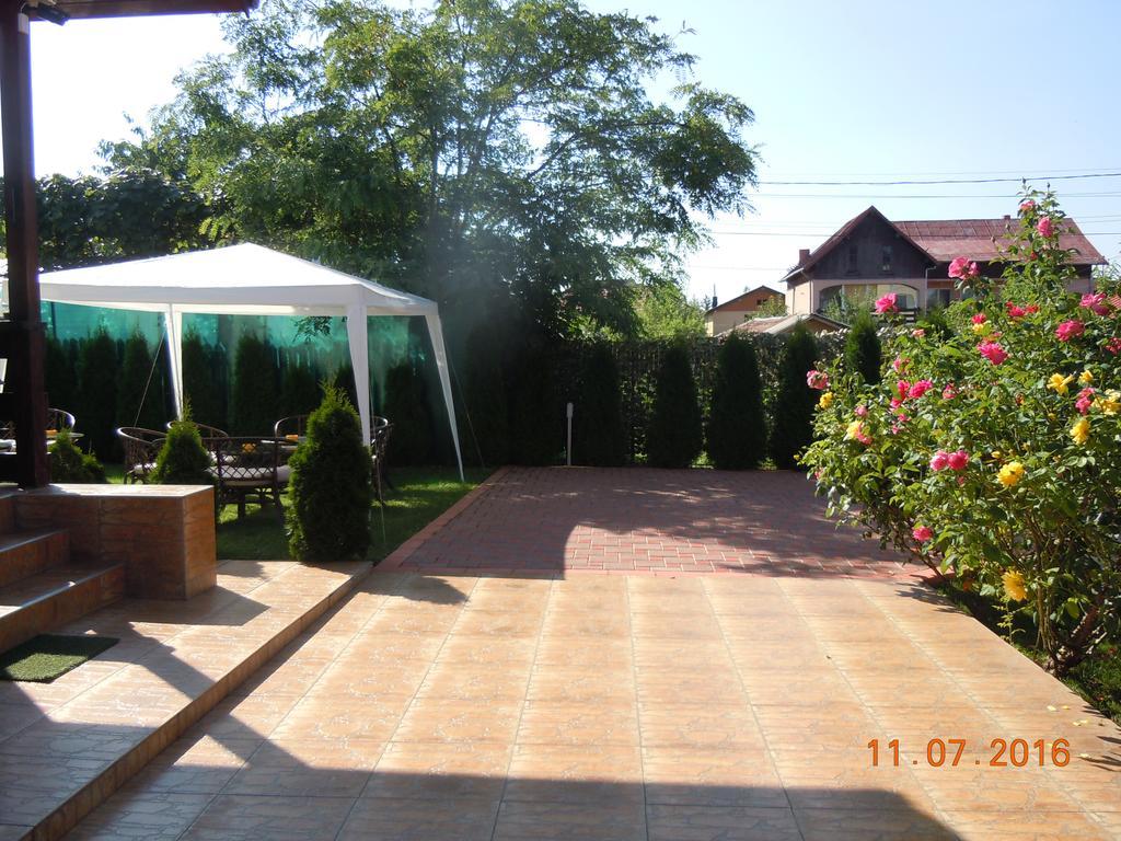 Pensiunea Marina Campina Bagian luar foto