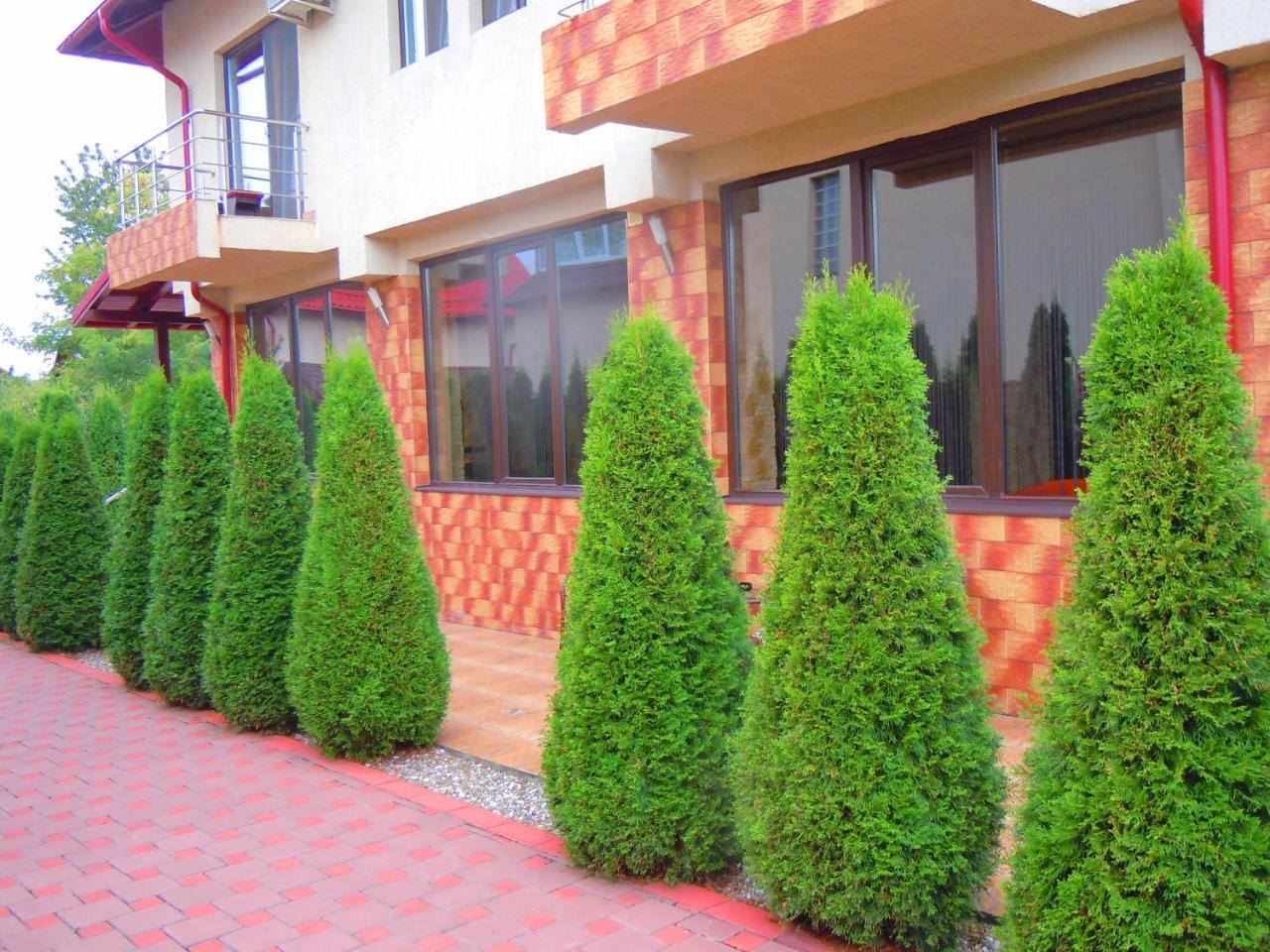Pensiunea Marina Campina Bagian luar foto