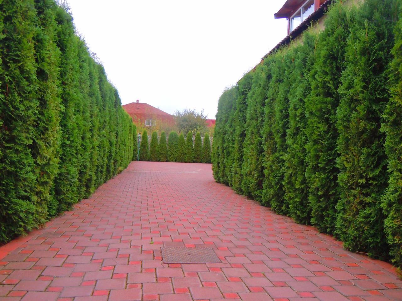 Pensiunea Marina Campina Bagian luar foto
